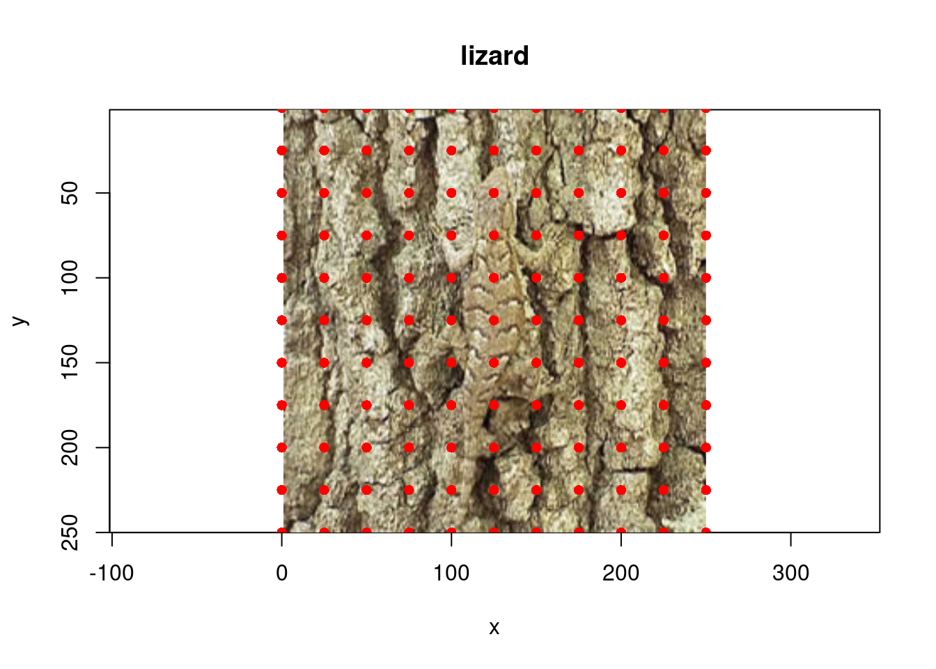 A cryptic lizard, along with a possible sampling grid for spectral measurement.