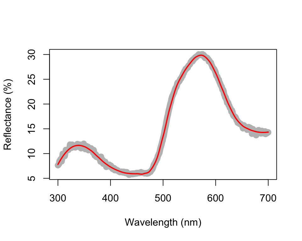 Result for raw (grey line) and smoothed (red line) reflectance data for the parakeet