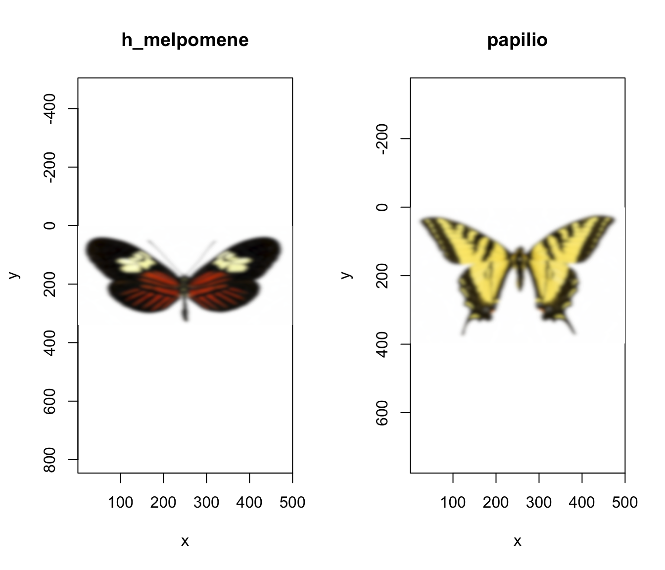 Images of our butterflies after modelling for the acuity of a conspecific viewer