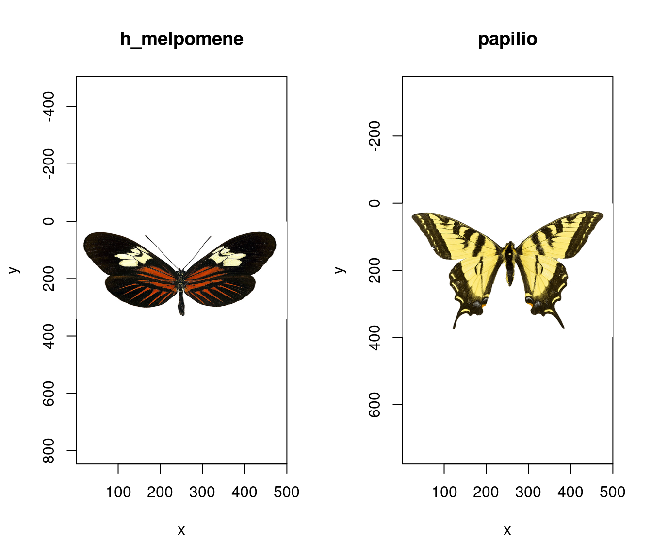 Raw images of our butterflies