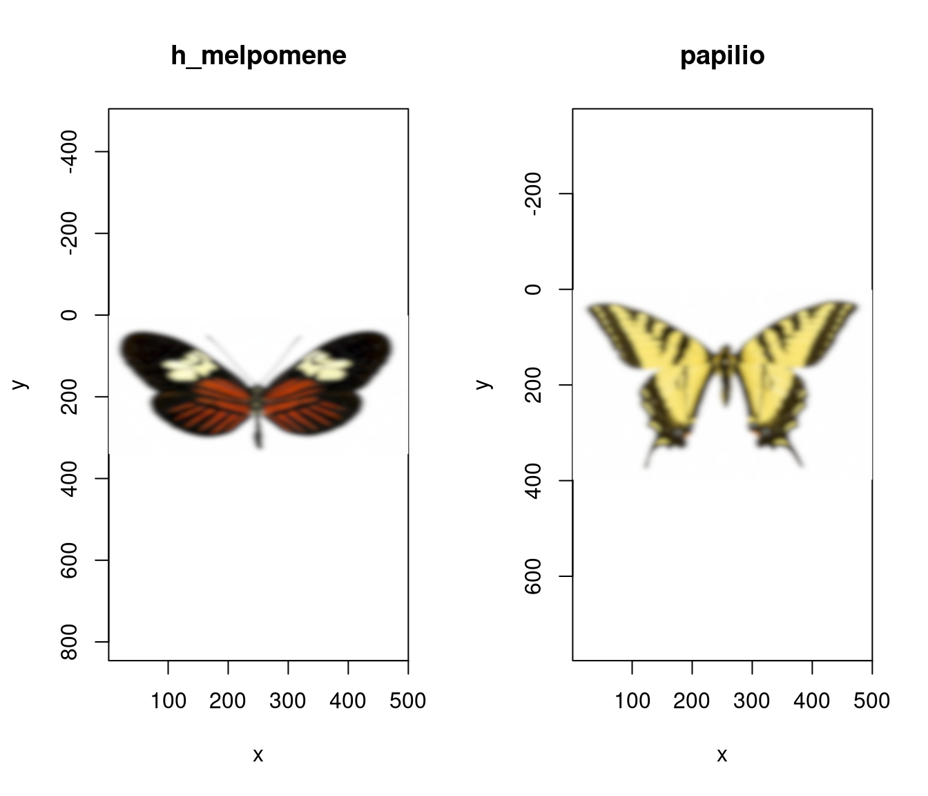 Images of our butterflies after modelling for the acuity of a conspecific viewer